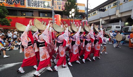 東京高圓寺阿波舞祭典熱鬧非凡