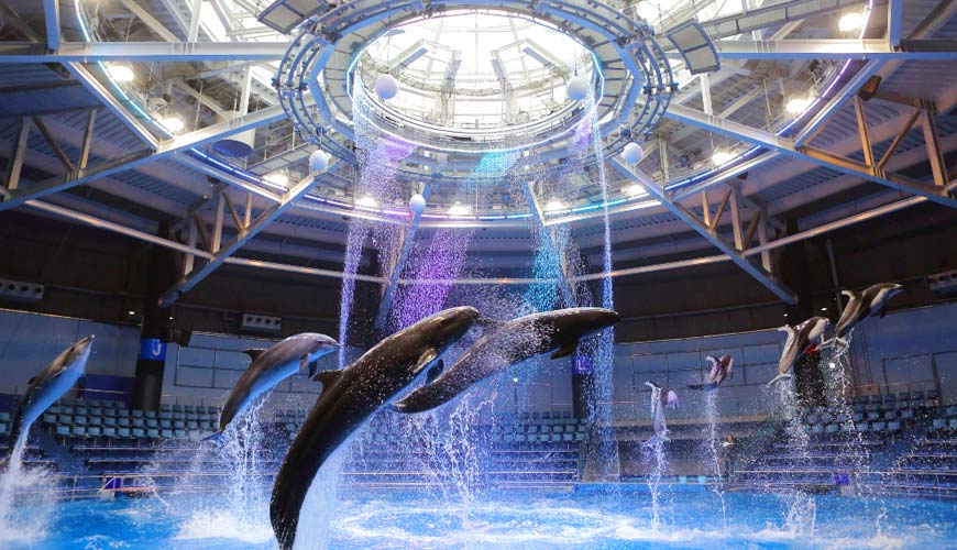 免費住宿品川王子大飯店!東京水族館樂園「Maxell Aqua Park 品川」按讚就享門票41%OFF