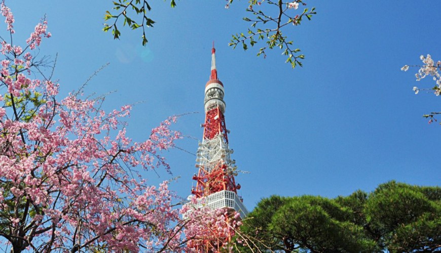日本自由行東京旅遊飯店旅館全攻略指南與推薦住宿地點新宿澀谷品川上野押上淺草