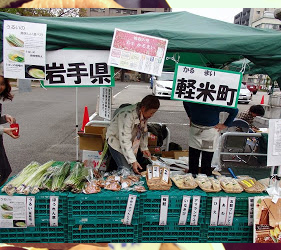 安穩朝市