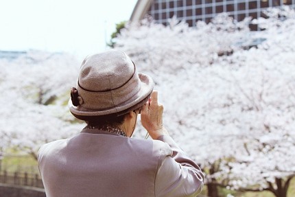 日本全國東京帶爸媽自由行旅遊全攻略指南小資族推薦景點交通CP值高評價方便便利安排行程一日遊市郊來回三天兩夜明治神宮淺草阿美橫丁表參道上野購物台場吉祥寺井之頭三鶯鎌倉江之島川越橫濱河口湖草津箱根日光輕井澤吃喝玩樂