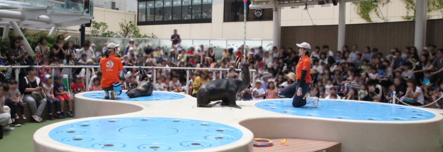 東京池袋景點推薦Sunshine City水族館海上樂園
