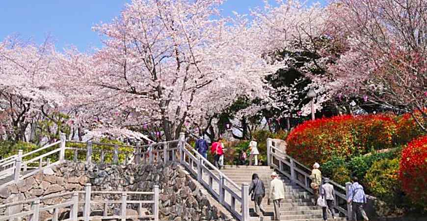 飛鳥山公園