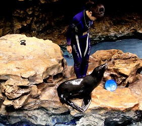 墨田水族館