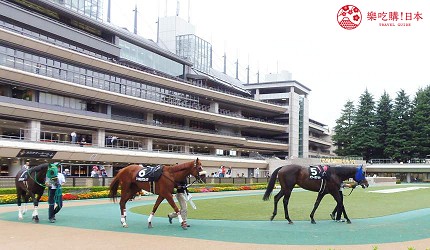府中市东京赛马场围场赌马