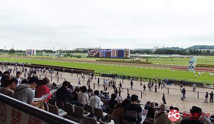 日本府中市东京赛马场赌马座位