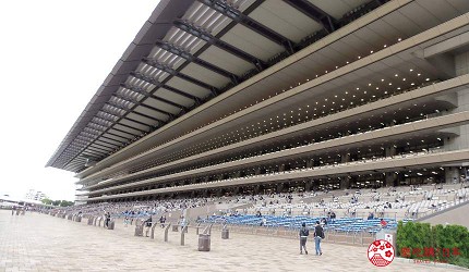 日本府中市东京赛马场赌马