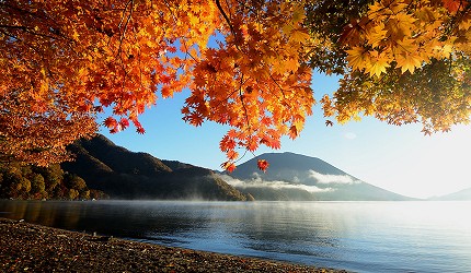 日光 中禪寺湖的紅葉