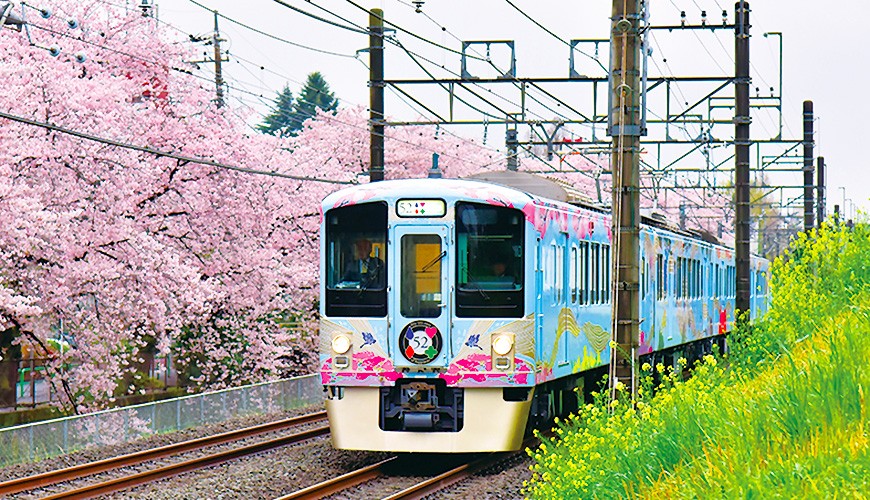 在電車裡享受優雅的用餐時光!搭乘西武鐵道「52席的至福」列車到秩父吃喝玩樂趣