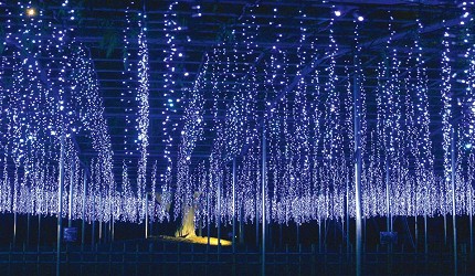 足利花卉公園