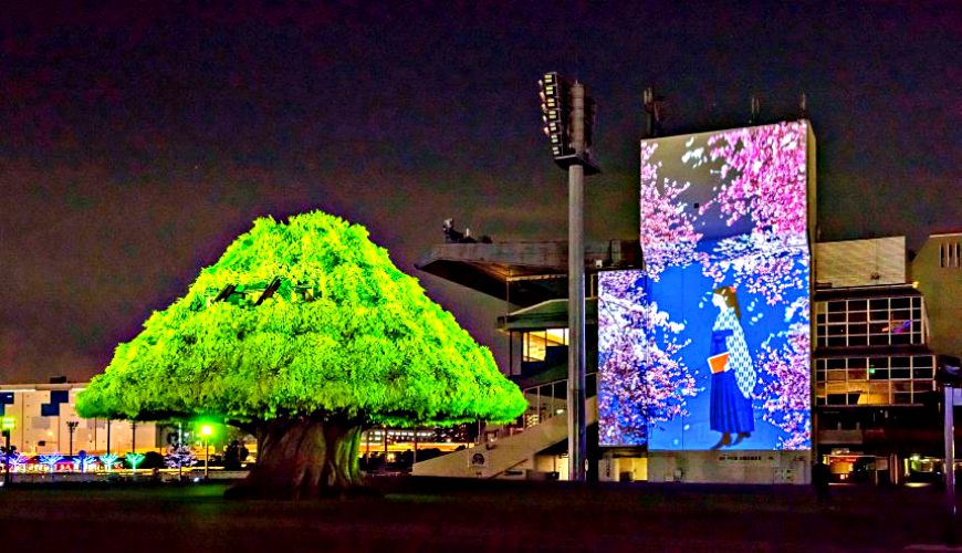 2018東京燈飾活動必去推薦「TOKYO MEGA ILLUMINATION」的「MEGA TREE GARDEN」