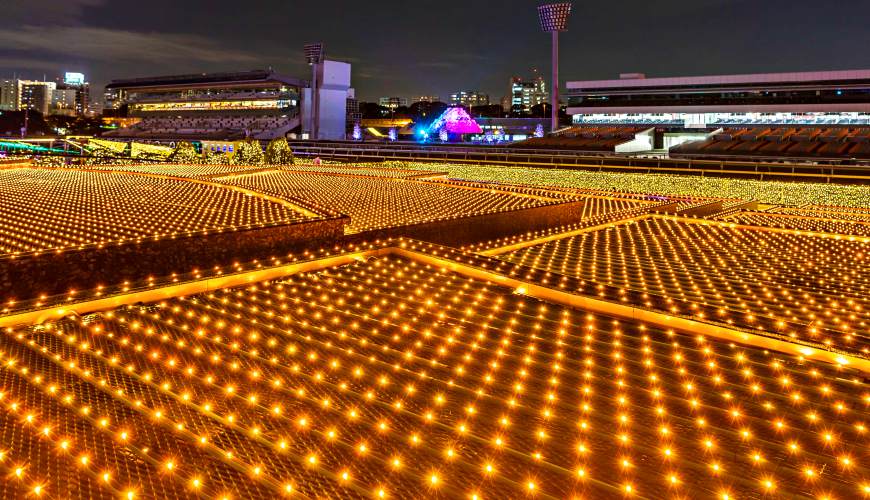 2018東京燈飾活動必去推薦「TOKYO MEGA ILLUMINATION」的「江戶極彩棚田」