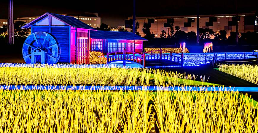 2018冬季點燈最新景點!東京最大級「TOKYO MEGA ILLUMINATION」用800萬顆燈飾製造浪漫