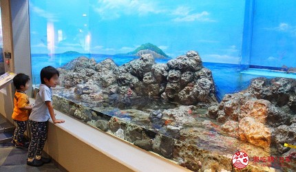 東京景點水族館品川水族館景觀窗