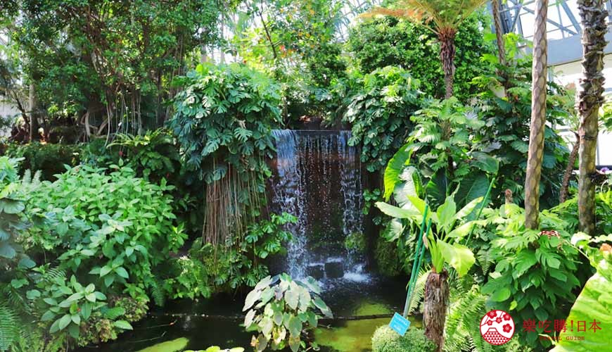2019年2020年台場新木場觀光購物景點夢之島熱帶植物館