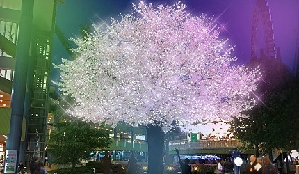 2019年去东京睇灯饰热点东京巨蛋TOKYO DOME CITY WINTER LIGHTS GARDEN山紫水明粉红色圣诞树
