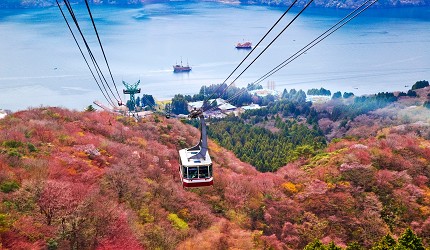 日本箱根空中纜車