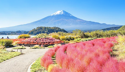 日本人私房推薦!不用人擠人也能眺望富士山的最佳景點河口湖大石公園