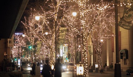 日本冬天自由行最好玩祭典松本冬日節的並木道夜景燈飾側拍