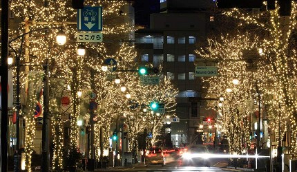 日本冬天自由行最好玩祭典松本冬日節的並木道夜景燈飾正面拍