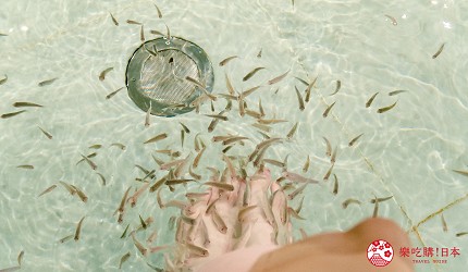 日本親子景點推薦推介箱根穿泳衣也能泡的合家歡溫泉水上樂園箱根小涌園 Yunessun的魚醫生的足湯裡有一雙腳