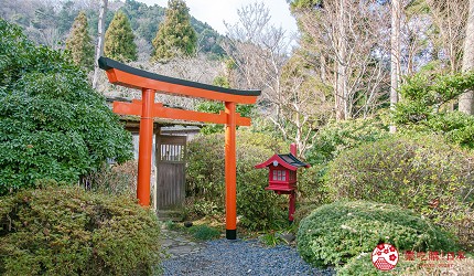 日本親子景點推薦推介箱根穿泳衣也能泡的合家歡溫泉水上樂園箱根小涌園 Yunessun的館外神社的鳥居